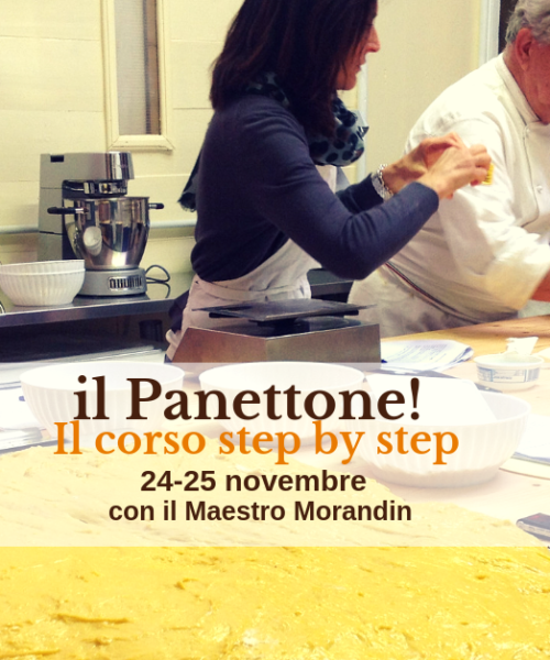 il corso sul panettone