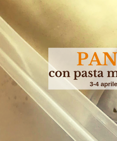 pane con la pasta madre