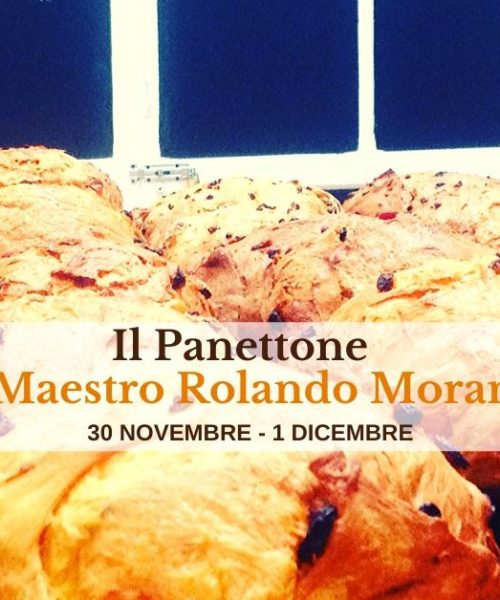 panettone Maetro Morandin