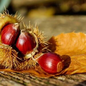 Corso di cucina on line: menù con le castagne